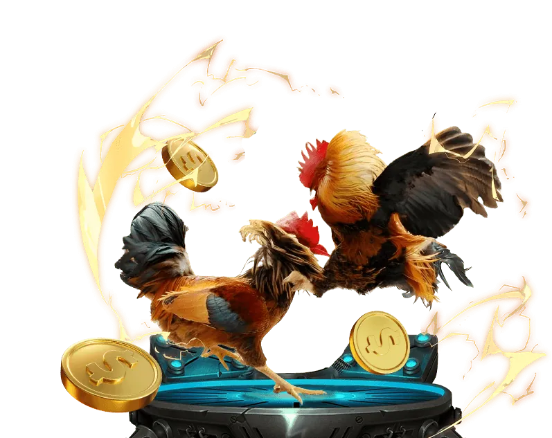 Cá cược bóng rổ 678 win